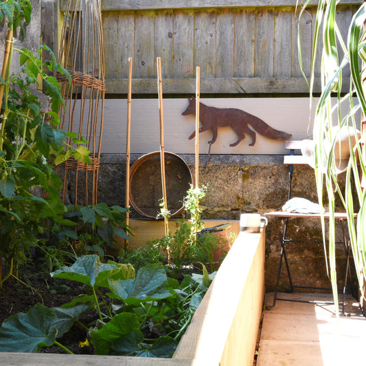 Mr Fox's Veg Patch