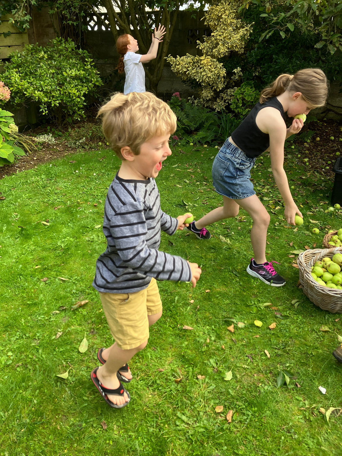 Our Apple Picking Party