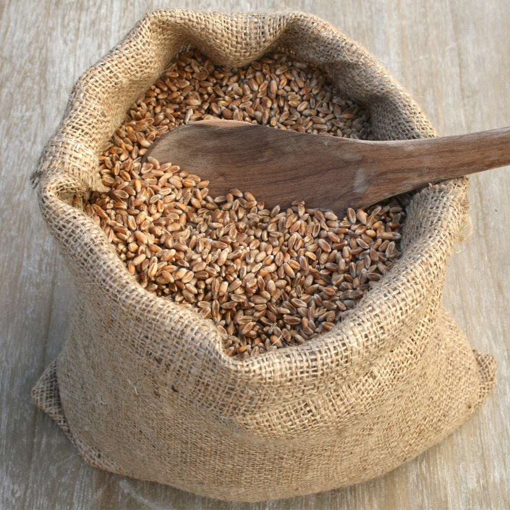 Microwavable Hand Warmers bag of wheat